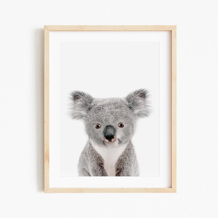 a picture of a koala in a wooden frame
