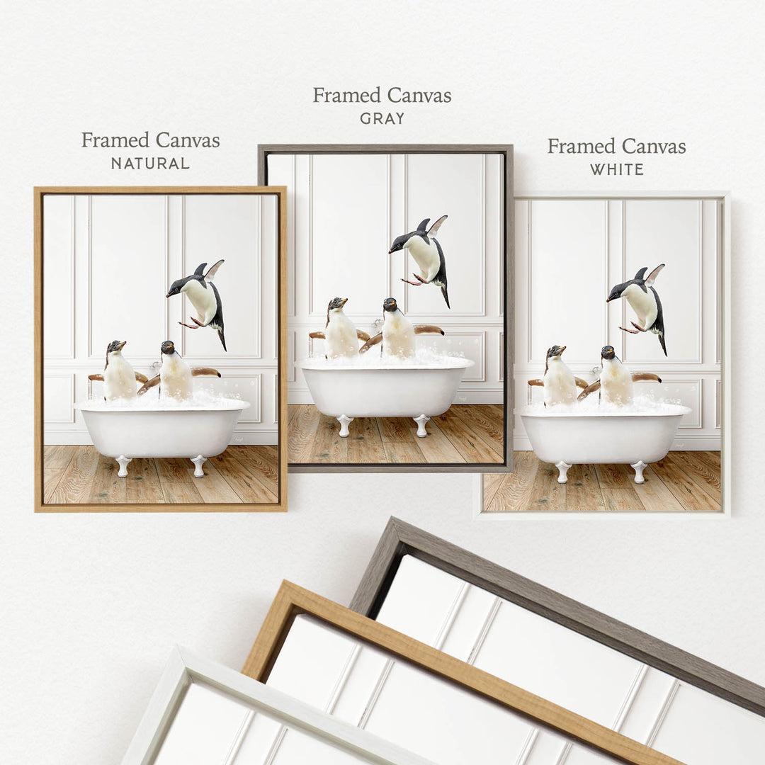 three framed pictures of penguins in a bathtub, each with a different frame color: natural, gray, and white.