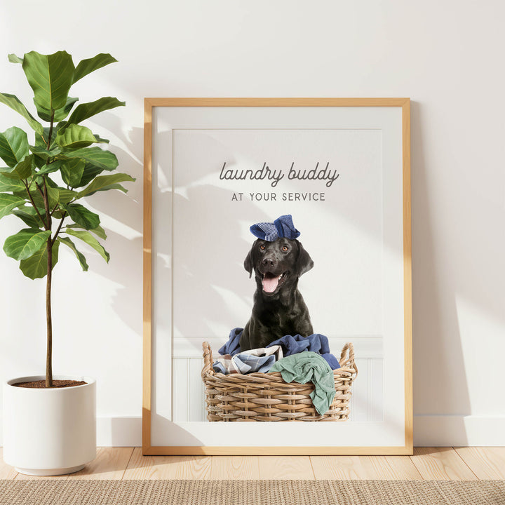 A framed image of a black dog sitting in a basket filled with clothes, with the text "laundry buddy at your service" written above the dog.