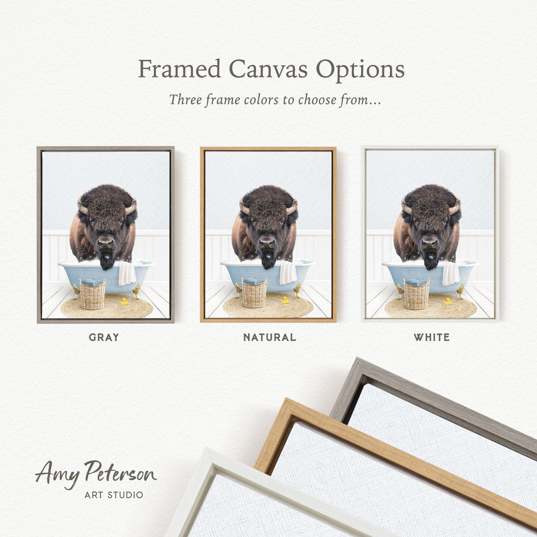 three framed canvas options, each featuring a different color: gray, natural, and white. The text above the images reads " framed Canvas Options" and "Three frame colors to choose from...". The artist's name, Amy Peterson, is also mentioned at the bottom of the image.