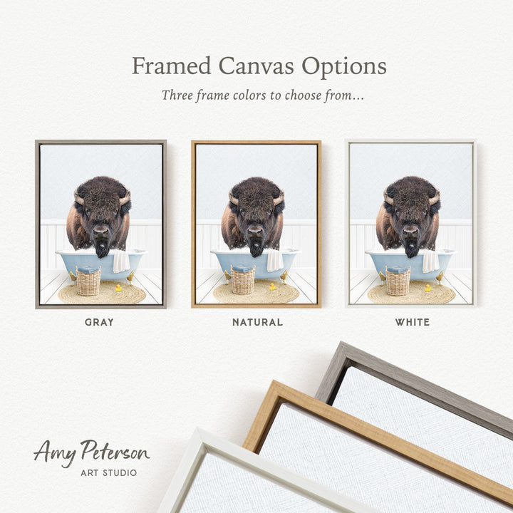 three framed canvas options, each featuring a different color: gray, natural, and white. The text above the images reads " framed Canvas Options" and "Three frame colors to choose from...". The artist's name, Amy Peterson, is also mentioned at the bottom of the image.