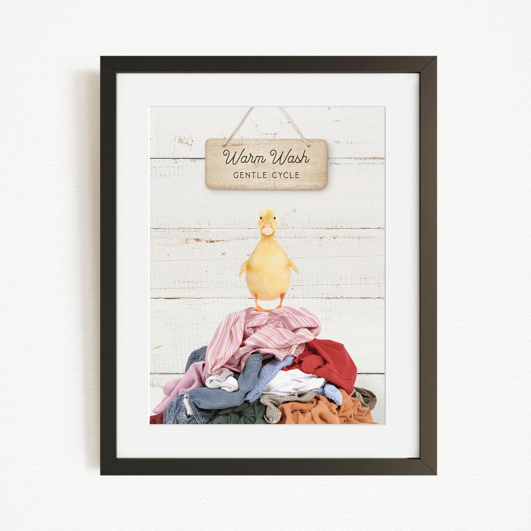 A framed image of a yellow duck standing on a pile of clothes, with a sign above that reads "Warm Wash Gentle Cycle".