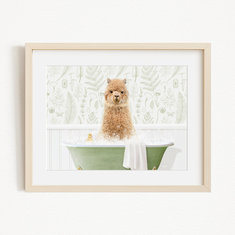 A brown alpaca sitting in a green bathtub filled with bubbles, with a yellow duck floating in the water.