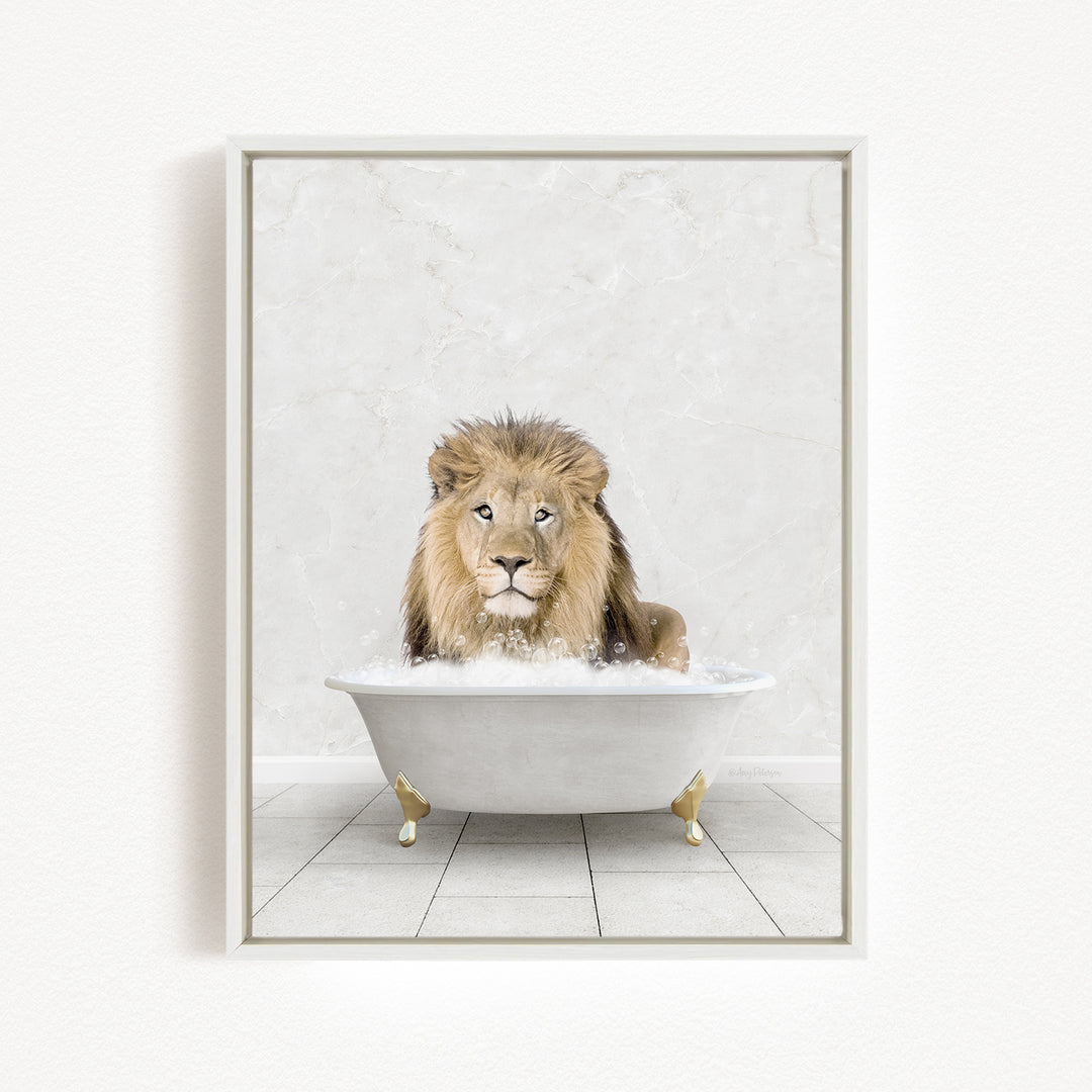 A lion sitting in a white bathtub filled with bubbles, looking directly at the camera.