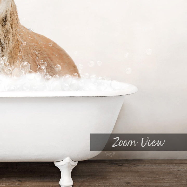A dog is sitting in a white bathtub filled with bubbles, enjoying a relaxing bath.