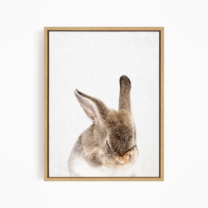 A framed image of a rabbit with its head resting on its paws, appearing to be sleeping or resting.