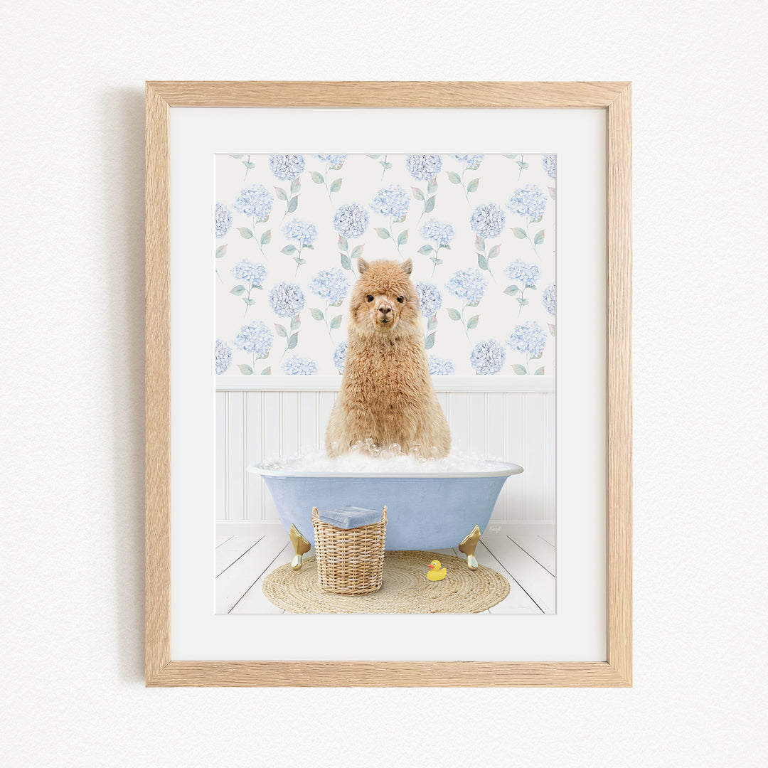 A small brown dog sitting in a blue bathtub filled with bubbles, surrounded by a white floral patterned wall and a basket of rubber ducks.