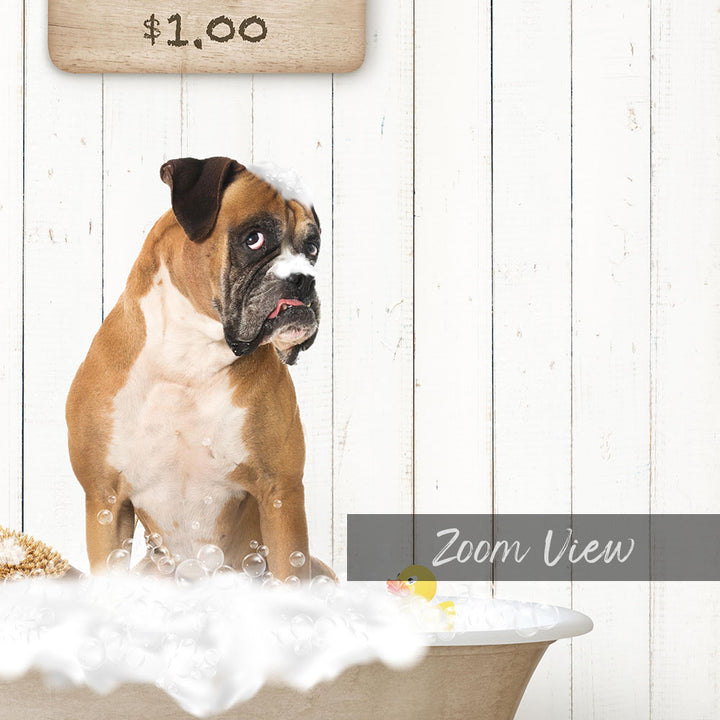 A brown and white dog sitting in a bathtub filled with bubbles, with a sign above the tub displaying "$1.00".