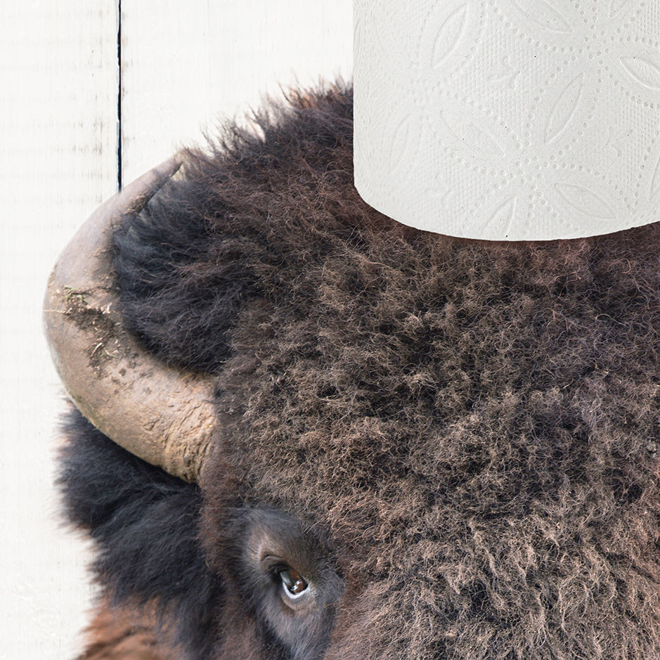 a close up of a bison head with a roll of toilet paper on it '