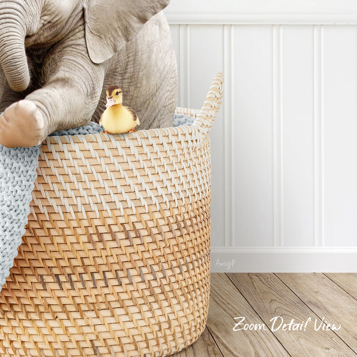A small yellow duck sits in a woven basket, with a larger elephant trunk resting on the basket.