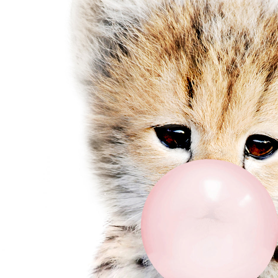 Baby Cheetah Blowing Pink Bubble Gum