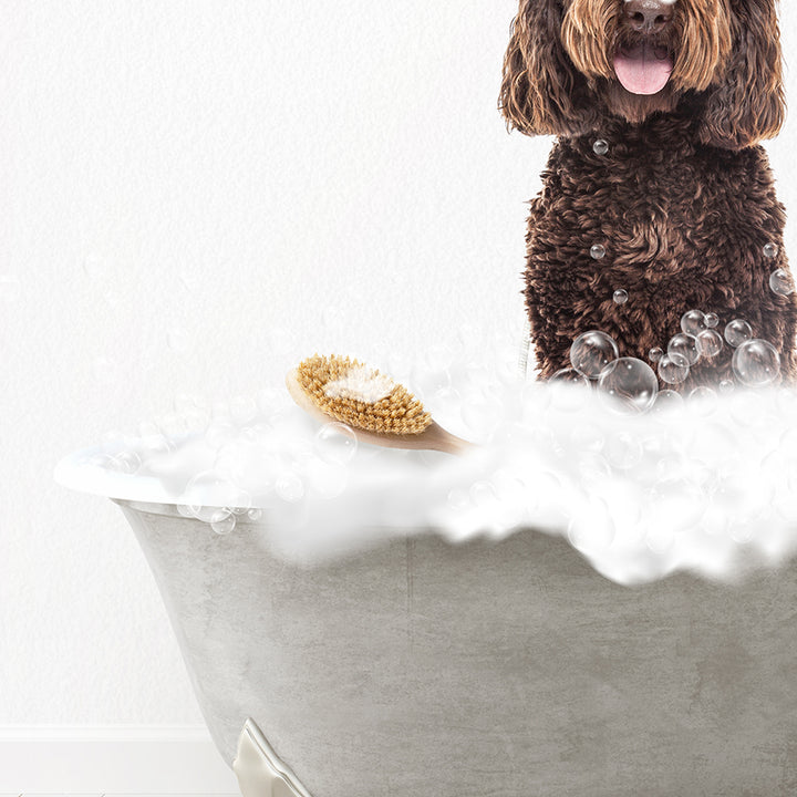 Chocolate Labradoodle Scrub A-Dub-Dub in Simple Gray Bath