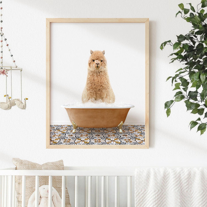 Alpaca in Mediterranean Bath