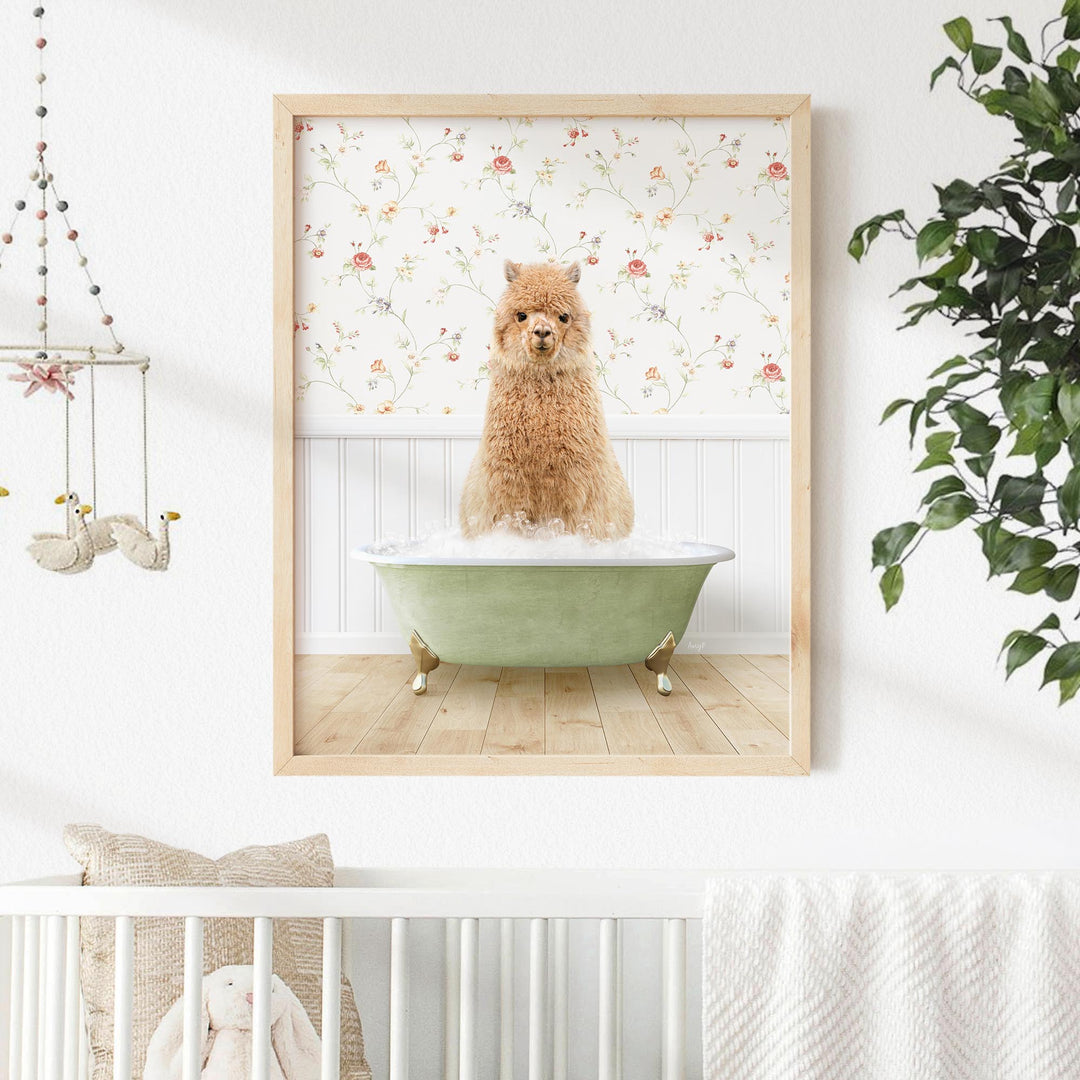 Alpaca in Country Cottage Bath