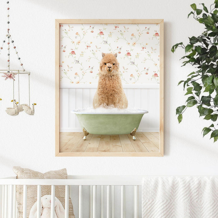 Alpaca in Country Cottage Bath