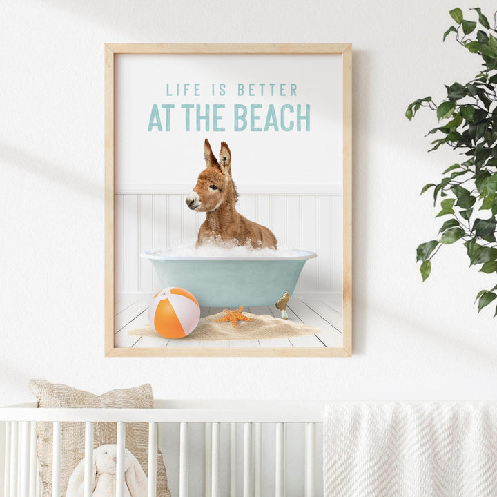 Baby Donkey in Beach House Bath