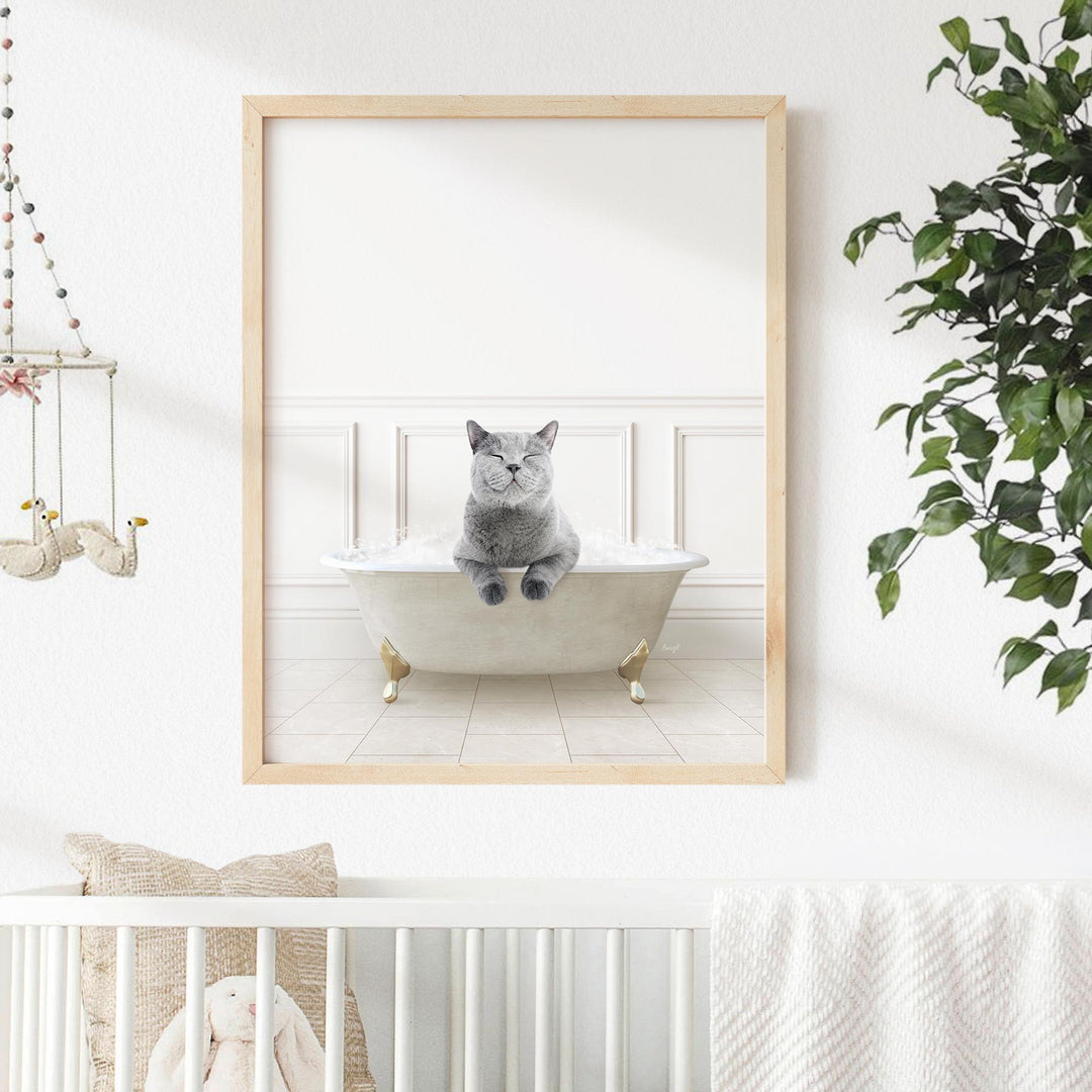 Cat in Modern Neutral Bath