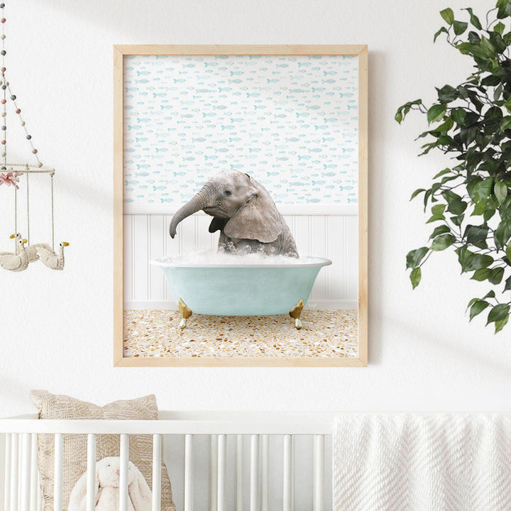 Baby Elephant No1 in Little Fish Bath