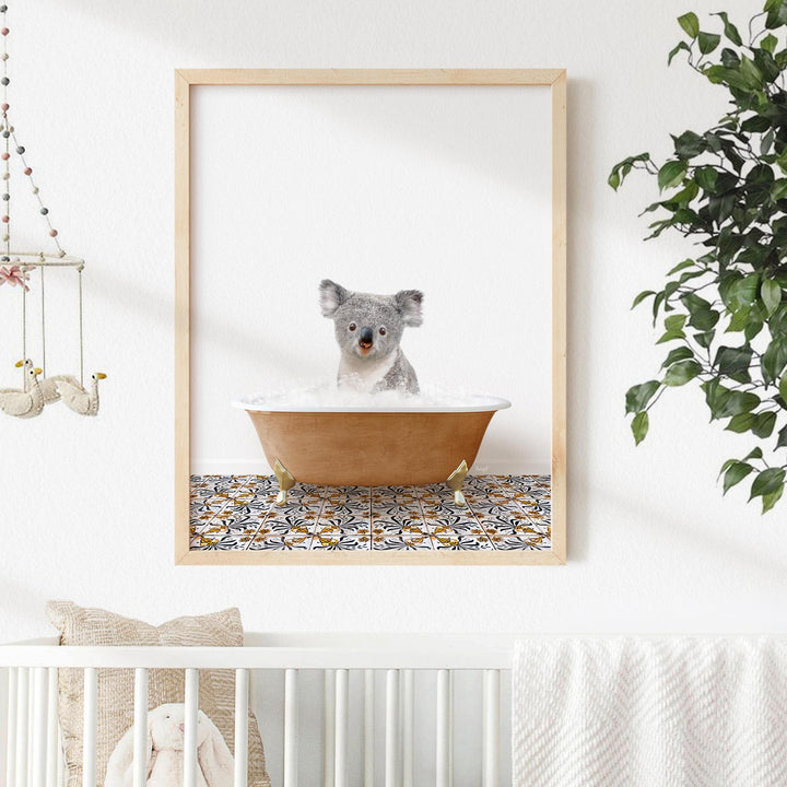Baby Koala in Mediterranean Bath