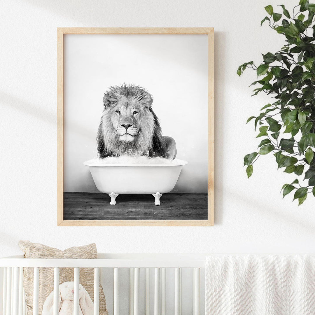 Male Lion in Rustic Black and White