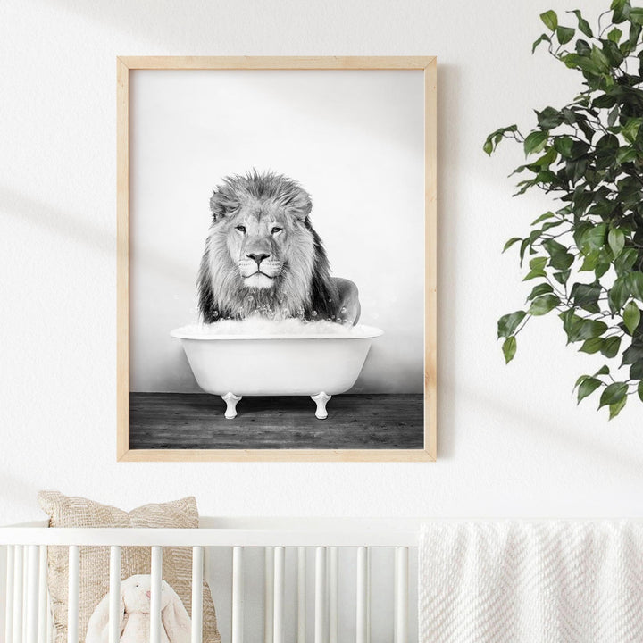 Male Lion in Rustic Black and White