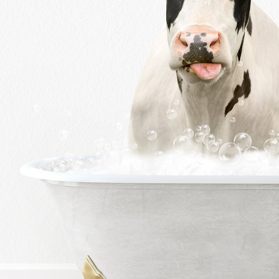 a cow sticking its tongue out in a bathtub filled with bubbles