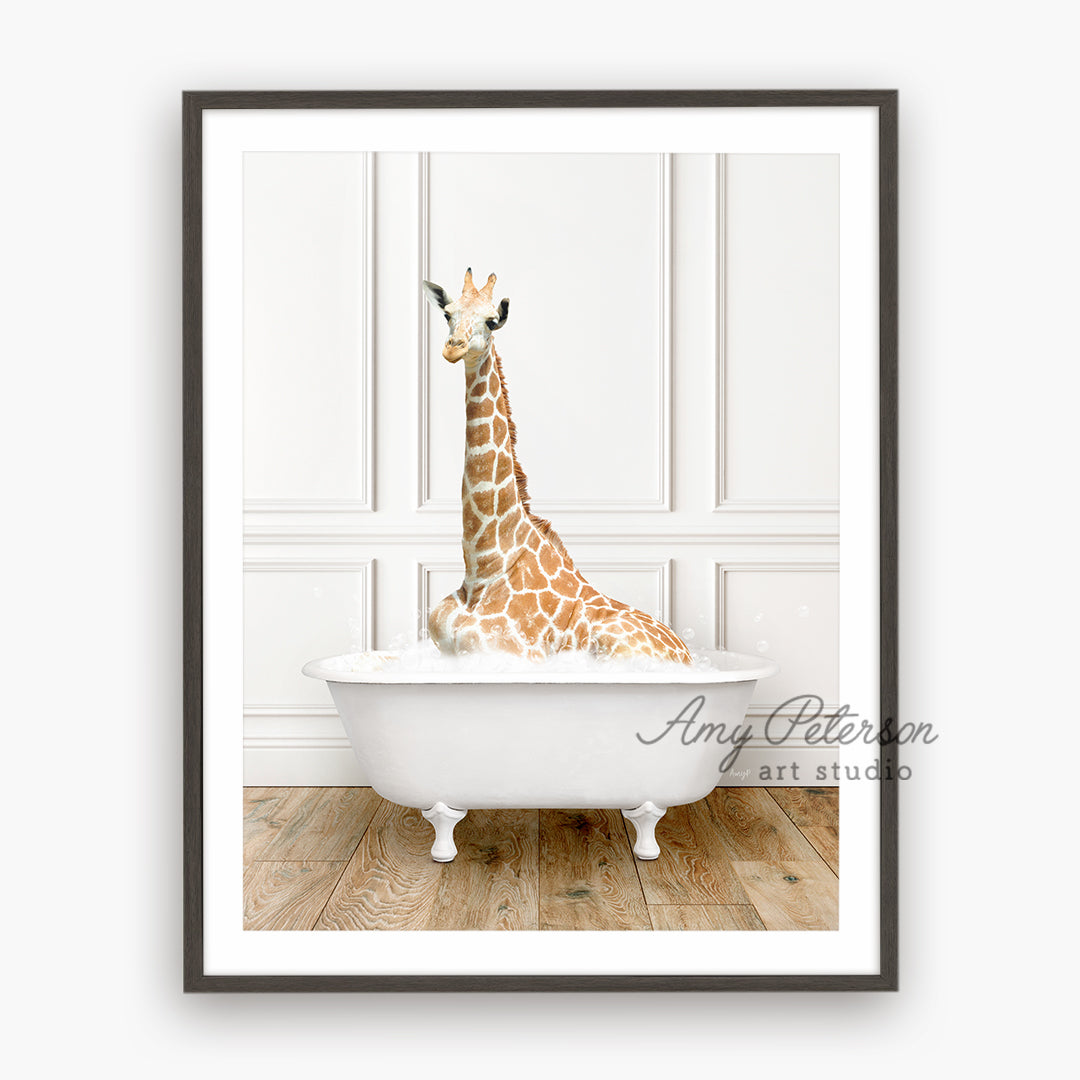 a picture of a giraffe sitting in a bathtub