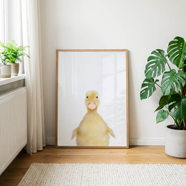 A framed photograph of a cute yellow duck is displayed on a wall in a room with a window, plants, and a rug.