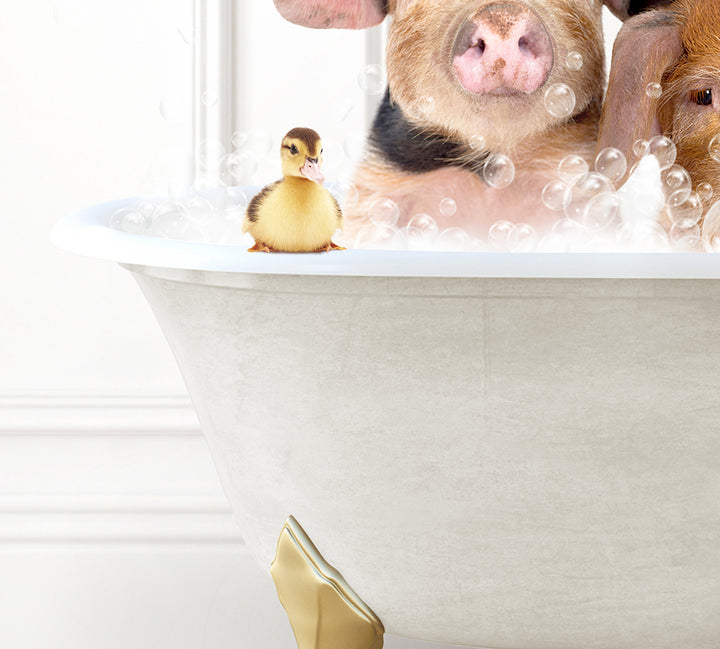 two dogs and a rubber duck in a bathtub