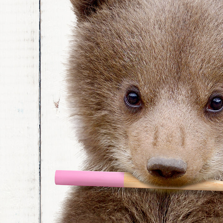 a brown bear holding a pink toothbrush in its mouth