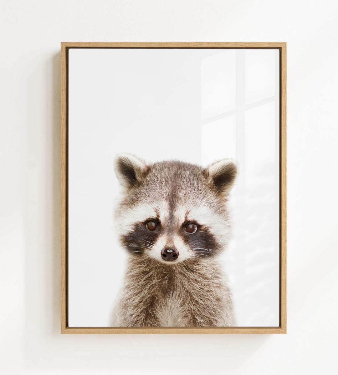 A raccoon with large eyes and a curious expression is the focus of the framed image.