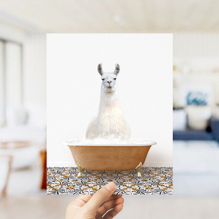 A white llama sitting in a bathtub filled with water, with a hand holding up the image to show it.