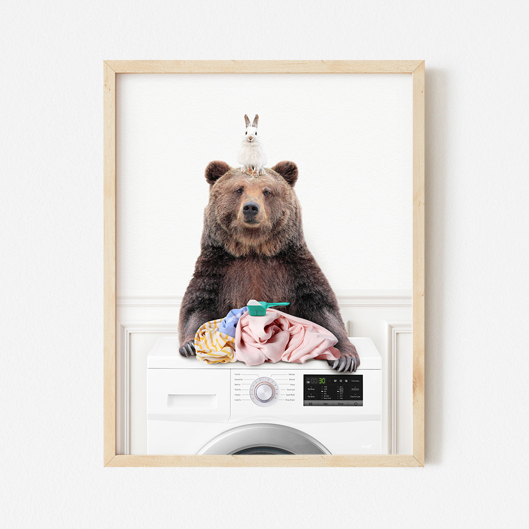 a picture of a bear sitting on top of a washing machine