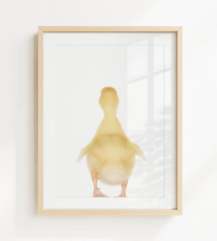 A framed image of a yellow duck standing on its hind legs, facing away from the camera.