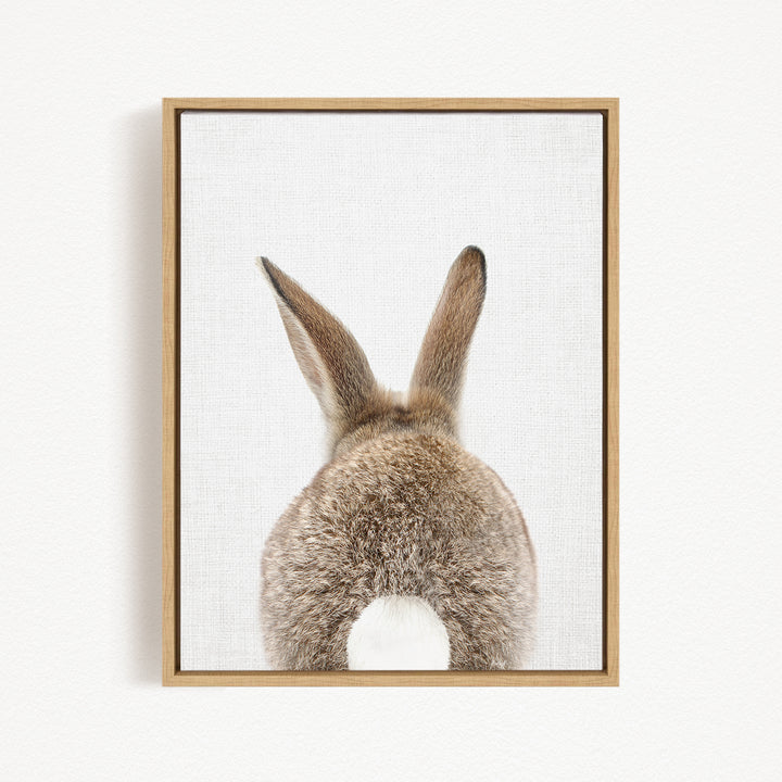 the back of a rabbit's tail, with its long, fluffy fur and pointed ears visible.