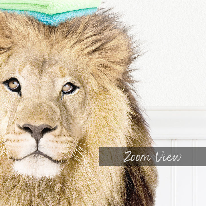 A close-up of a lion's face, with its eyes and nose prominently featured, against a white background.