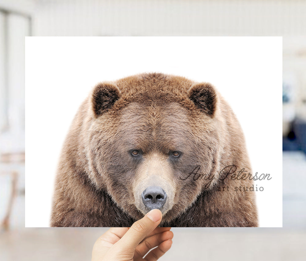 a person holding up a picture of a brown bear