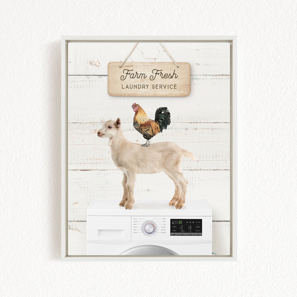 a goat standing on top of a washing machine, with a rooster perched on its back. The scene is set against a white background with a wooden sign that reads "Farm Fresh Laundry Service".