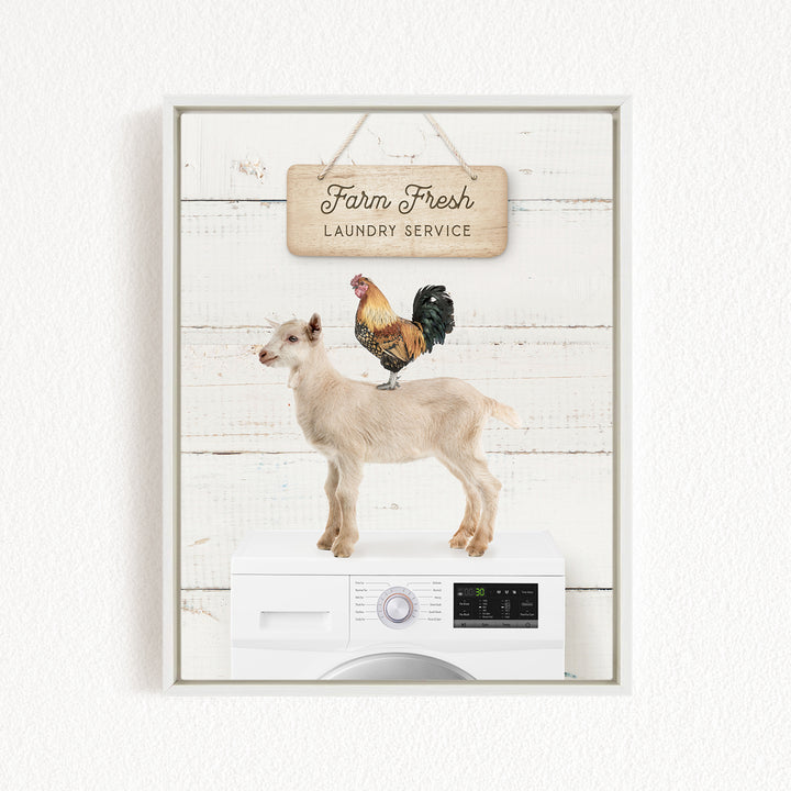 a goat standing on top of a washing machine, with a rooster perched on its back. The scene is set against a white background with a wooden sign that reads "Farm Fresh Laundry Service".