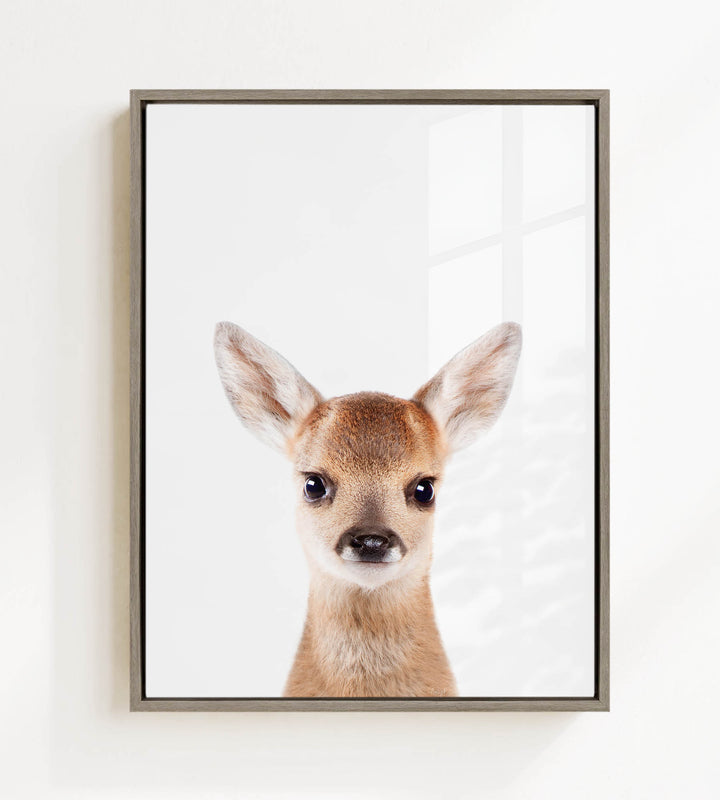A framed photograph of a young deer with large ears and a small nose, looking directly at the camera.
