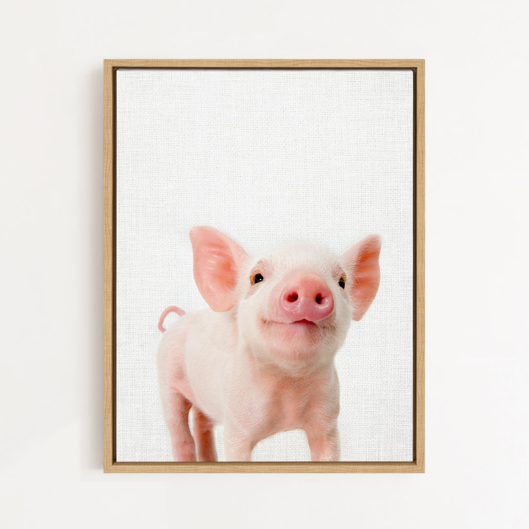 A cute, pink piglet with large ears and a pink nose is the main subject of the image, which is a framed picture hanging on a white wall.
