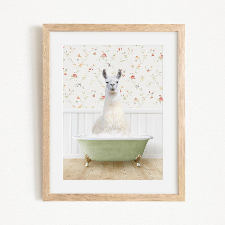 A white llama sitting in a green bathtub filled with bubbles, with a floral wallpaper in the background.