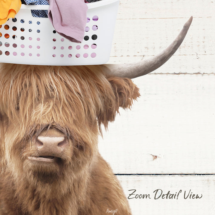 A close-up of a Highland cow with a laundry basket on its head, set against a white wooden background.