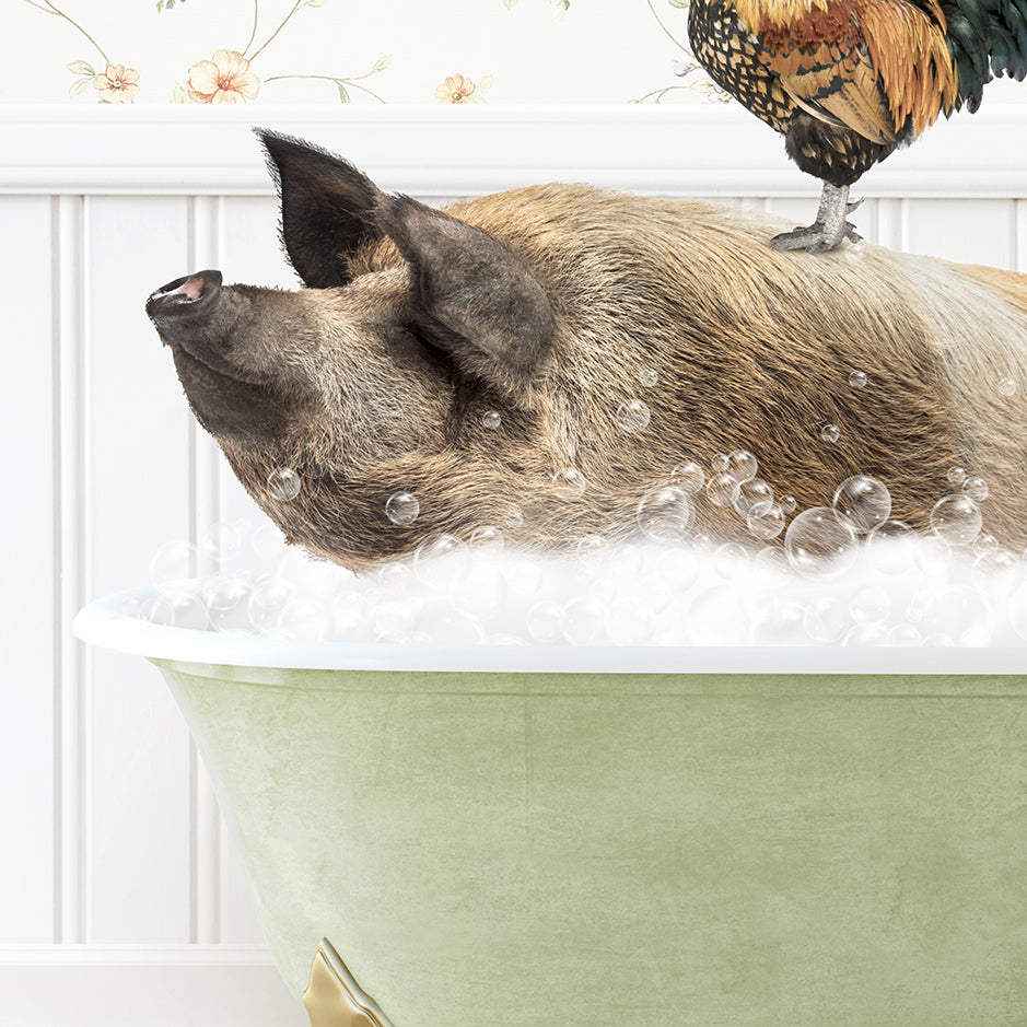 a pig in a bathtub with a rooster on top of it