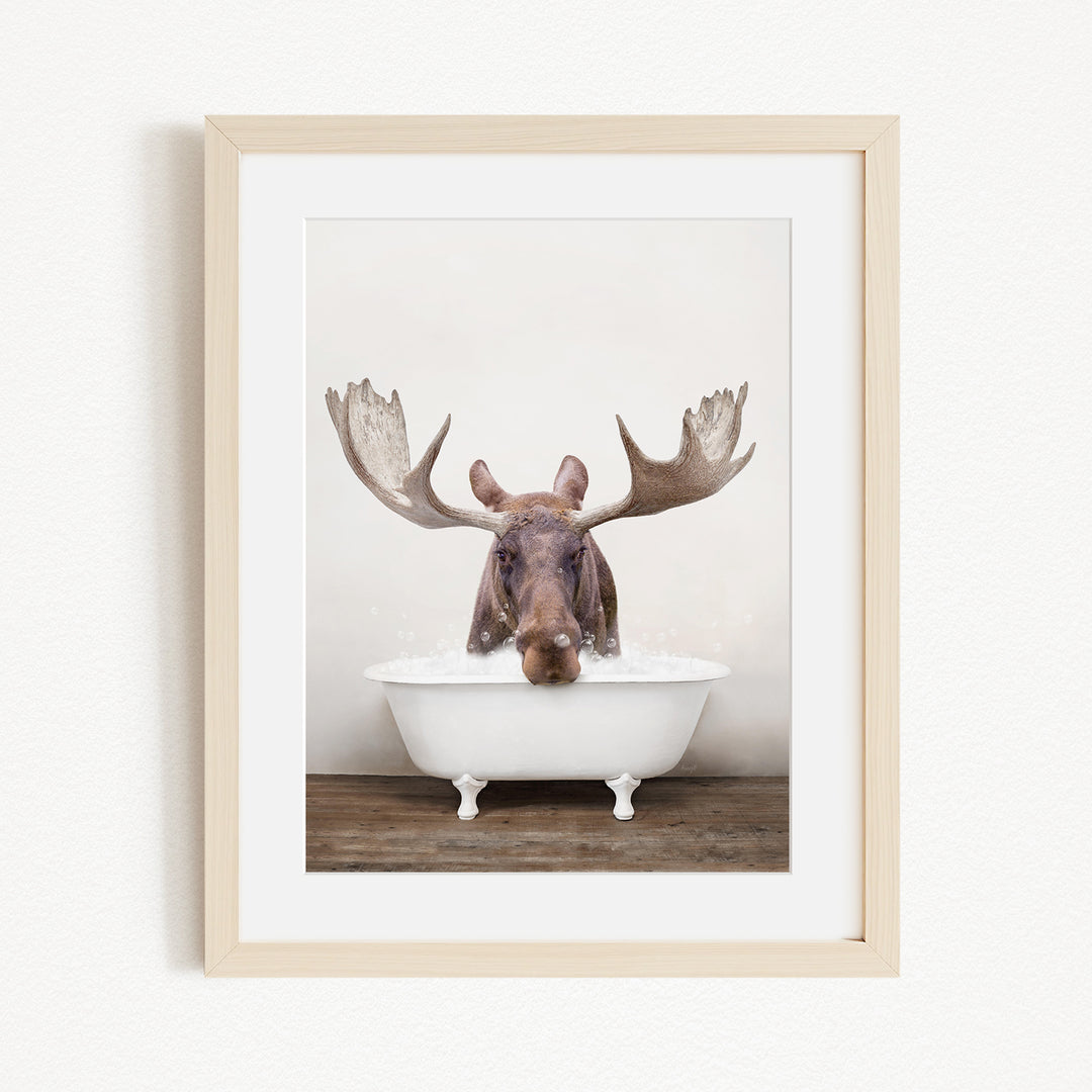 A moose with large antlers is sitting in a white bathtub, appearing to enjoy a relaxing soak.