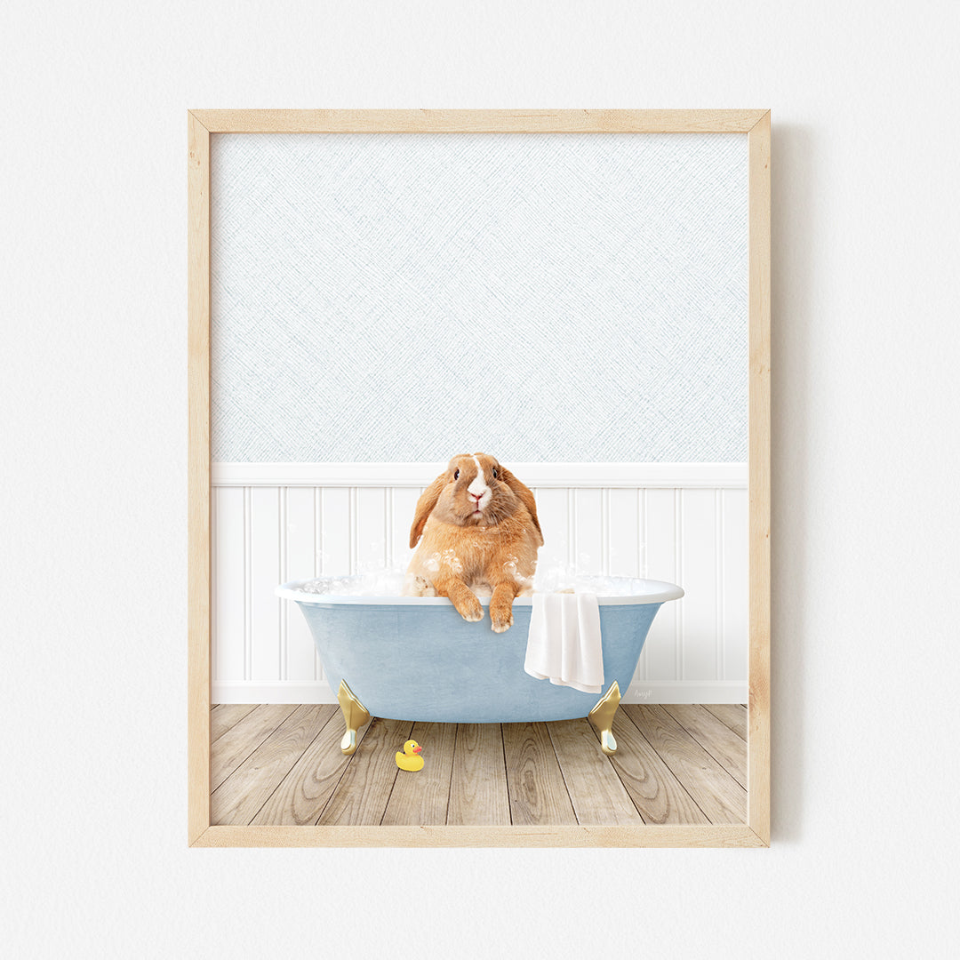 a brown dog sitting in a blue bath tub