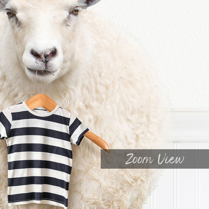 A white sheep with a black and white striped shirt hanging on a wooden hanger, with a "Zoom View" text overlay.