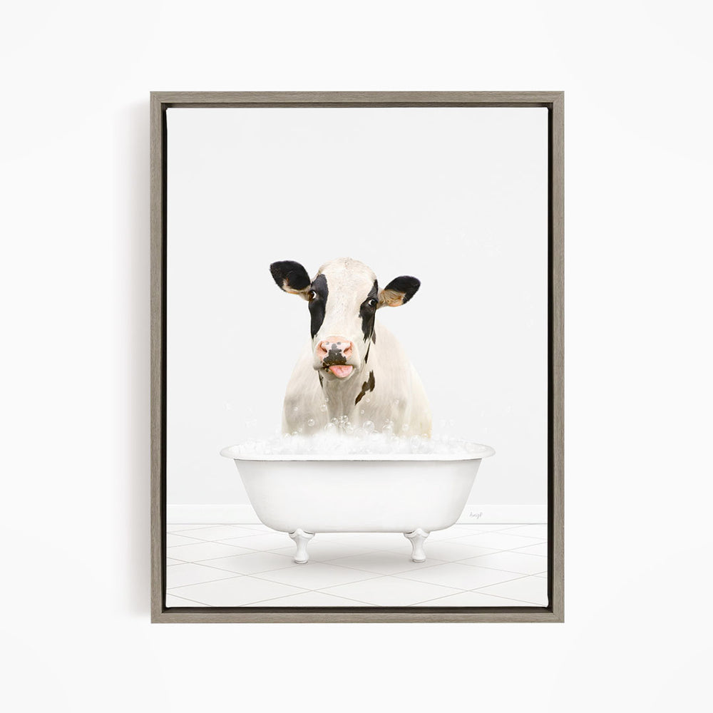 A black and white cow is sitting in a white bathtub filled with water, looking directly at the camera.