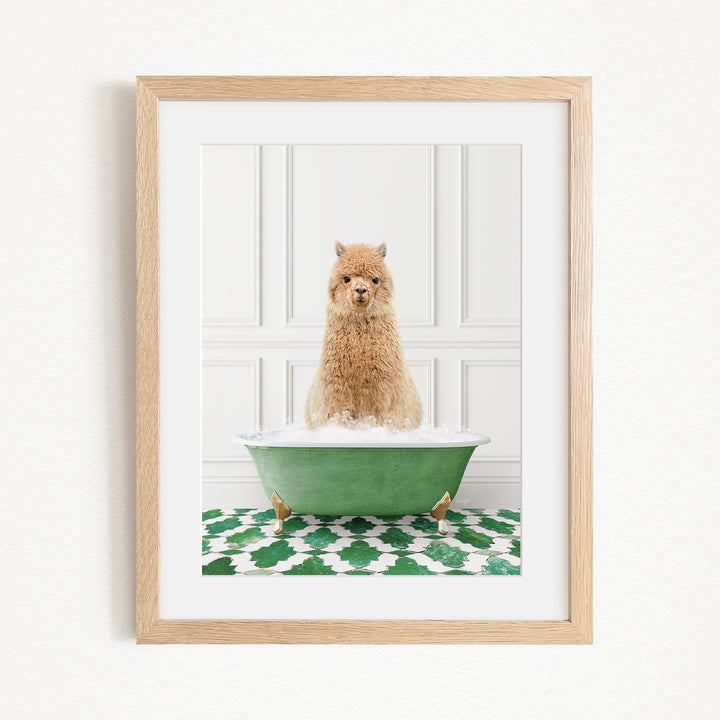 A fluffy brown dog sitting in a green bathtub filled with bubbles, with a white and green patterned rug on the floor.