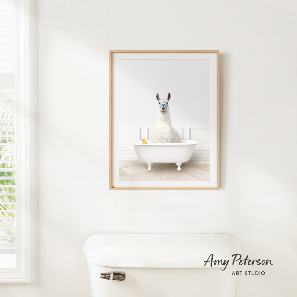 A framed image of a white llama sitting in a white bathtub, with a yellow rubber duck floating in the water.